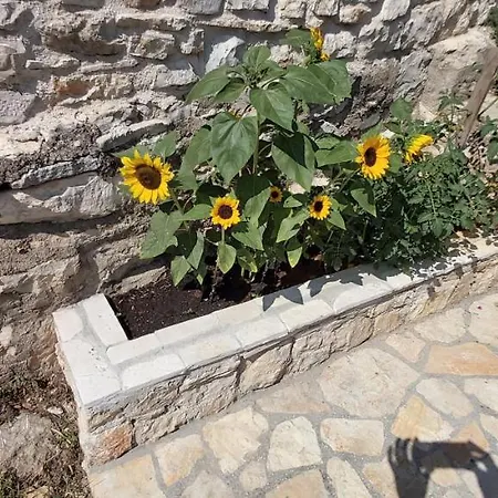 Apartman Francesca